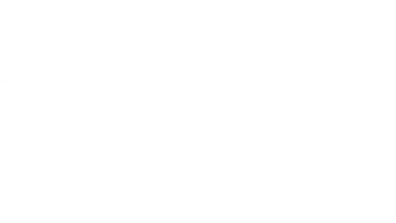 Top Notch Logo